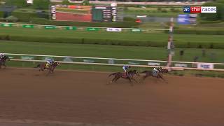 GOLDEN TEMPO is the Belmont Stakes and Kentucky Derby champion!