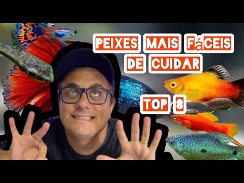 TOP 8 PEIXES MAIS FÁCEIS DE CUIDAR NO AQUARISMO