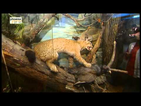 Russland eine Winterreise Doku