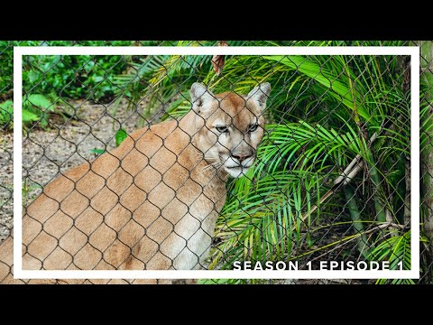 Palm Beach Zoo Episode 1 | Season 1