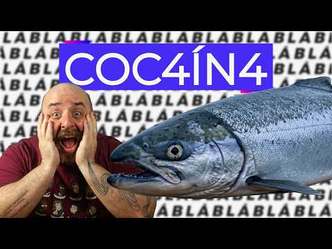 suas DORGUINHAS estão deixando os peixes DOIDÕES! | LIVE DE QUINTA