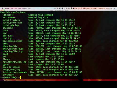 2 - Common operational commands in Junos