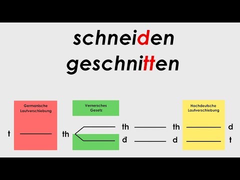 Das Vernersche Gesetz