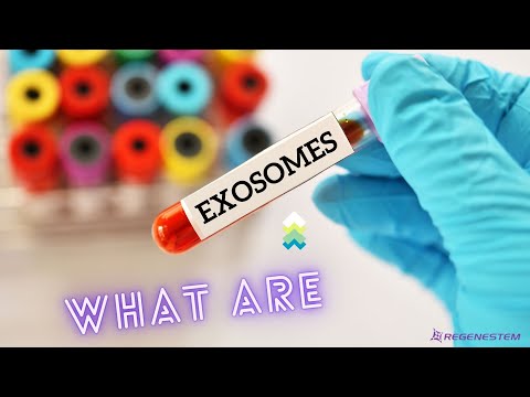 Regenerative Exosome Therapy in Mexico: The Future of Cellular Healing