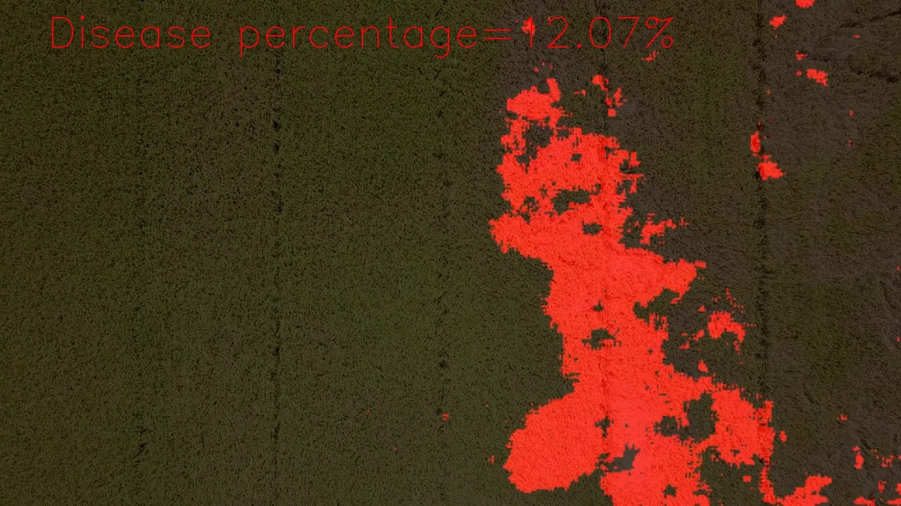 Real time crop disease detection from Drone