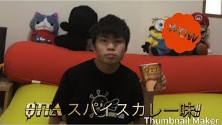 QTTA(スパイスカレー味)