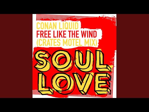 Free Like The Wind (Extended Mix)