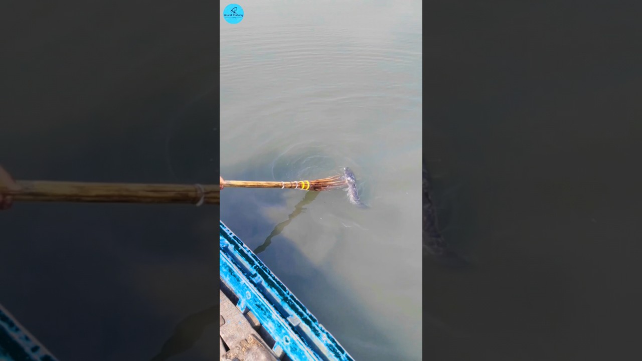 Boat Fishing Video 2024 |(part -5)#shorts #shortvideo #viral #viralvideo #fishing #fish #boatfishing