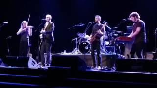 Robert Forster - A poet walks