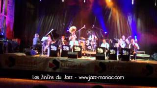 Mule Face Blues - Les ZinZins du Jazz - Fred Dupin.mpg