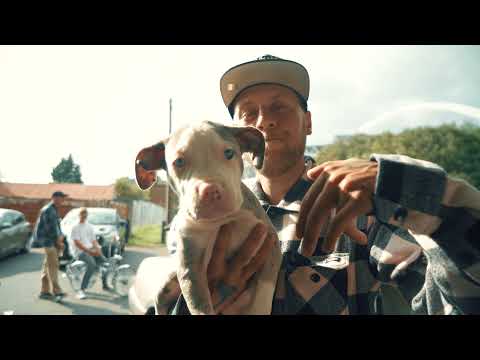 EL Loco Koslov - Bangers Hit Switches ( Official Video 4K )