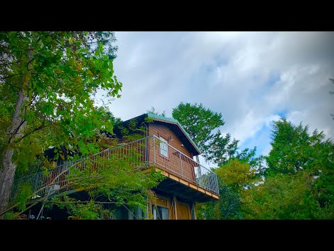 マダニによる危険 – RKI がドイツに新たな危険地域を追加