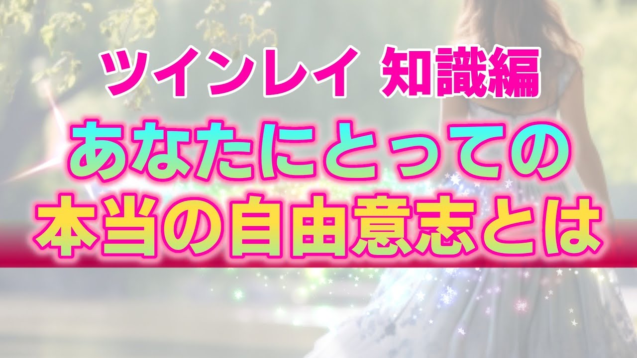 【アセンション×ツインレイ】今世を過去の自分に譲り渡すか、ハイヤーセルフに譲り渡すか。今を生きるという視点について【宇宙の真実】