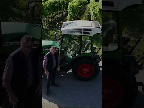 Portraits LISBETH° - Rheingauer Winzerinnen und Winzer - Sommer