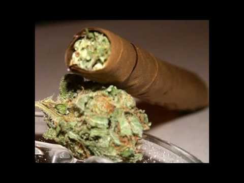 SAE ft DI SMOKING FYAH - GANJAMAN - CRITICAL LIFE 2011