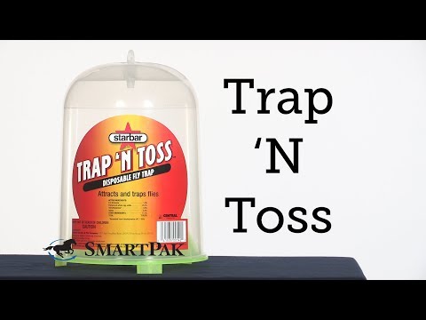 Trap N' Toss Review