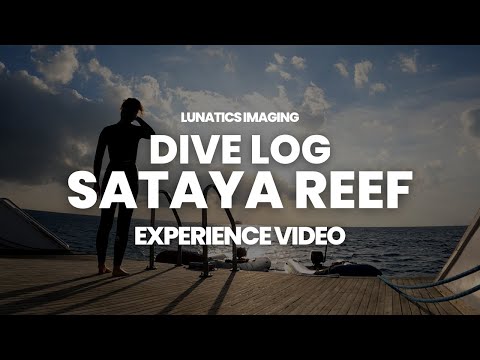 Review Dive Log Sataya Reef Experience | Diving in the Red Sea, Egypt 2022