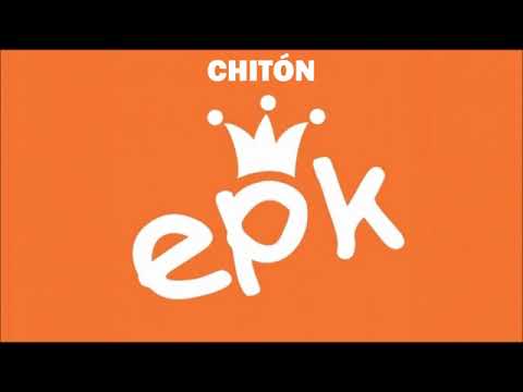 ZEBULA & YELLOW W - CHITÓN