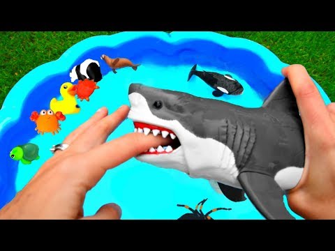 Sea Animal Fish Toys - YouTube