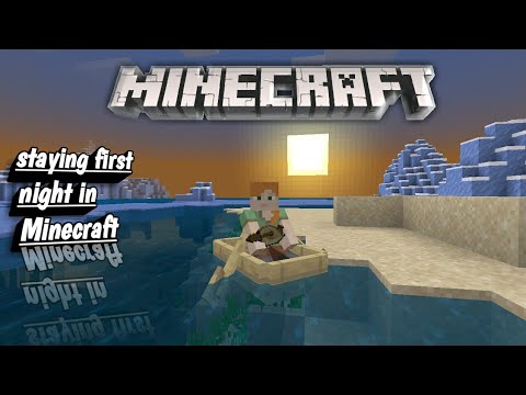 MINECRAFT FOR THE FIRST TIME |