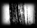 Destroy Destroy Destroy The Wretched Forest ...