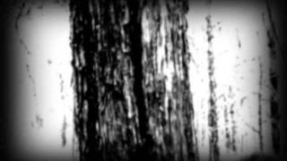 Destroy Destroy Destroy The Wretched Forest (official video)