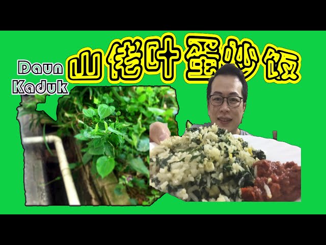 Video pronuncia di 独特 in Cinese