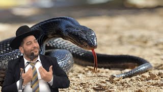 "הנחש התפתל על כולו ולא ראו אותו מרוב שהיה עטוף" מספרים החבורה, שהיו בטיול שלא יישכח לעולם!" מהפנט! (הרב אפרים שרבני) - התמונה מוצגת ישירות מתוך אתר האינטרנט יוטיוב. זכויות היוצרים בתמונה שייכות ליוצרה. קישור קרדיט למקור התוכן נמצא בתוך דף הסרטון