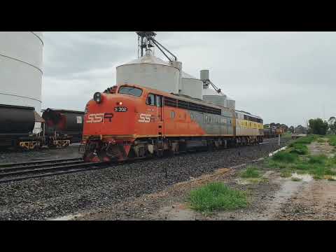 Australische Southern Shorthaul Railroad (SSR) locomotieven |  Australia’s Southern SSR locomotives
