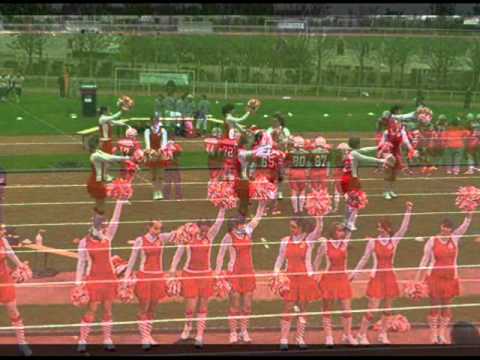 Les gladiatrices sur le terrain !