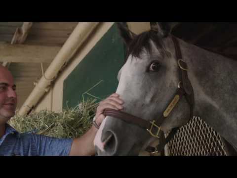 Win the Space Eyes 2016 TVG Pacific Classic