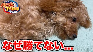 【挑戦4年目】リアルの甲子園が終わる前に栄冠ナインで夏の甲子園優勝したい【パワプロ2022】