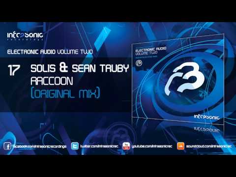 Electronic Audio Vol.2: Solis & Sean Truby - Raccoon