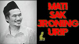 Download lagu mati sak jroning urip | story WA gus BAHA | ngajijawa | ngajifilsafat mp3 Download lagu mati sak jroning urip | story WA gus BAHA | ngajijawa | ngajifilsafat mp3