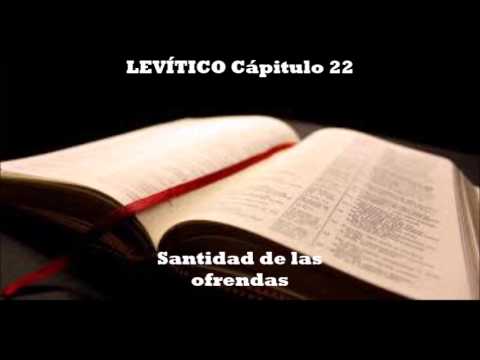 BIBLIA-AUDIO LEVÍTICO 21 22-23
