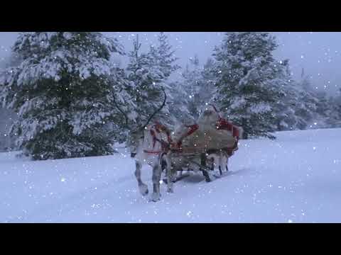 🎅Hull a pelyhes fehér hó - Jön a Télapó! /Karácsonyi gyermekdalok/🎅