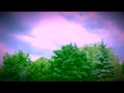 Cosy today  5 minutes of Relaxing Ukulele for you to study, read or sleep