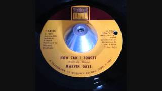 MARVIN GAYE - HOW CAN I FORGET