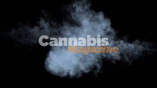 Nueva web de Cannabis Magazine (2020)