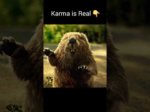 Karma is Real 🥹 #trustingod #karma #trending #viral #foryou #fyp #viralvideo #motivation