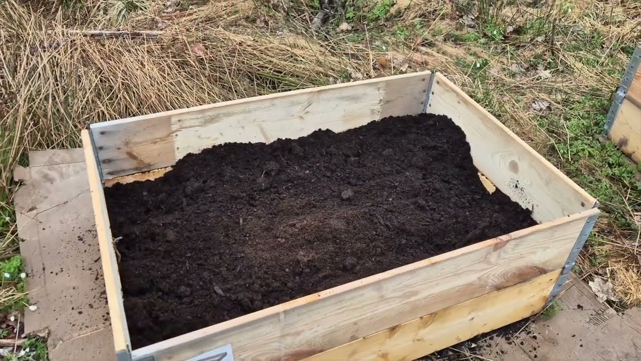 Avalon | Sowing Seeds