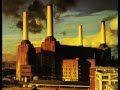 PInk Floyd - Animals - 1977 