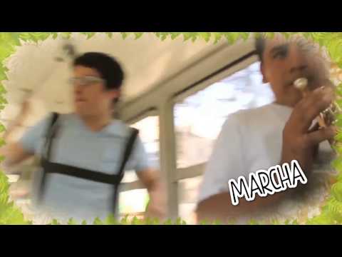 Festival Selvámonos 2013 (video oficial con locución)