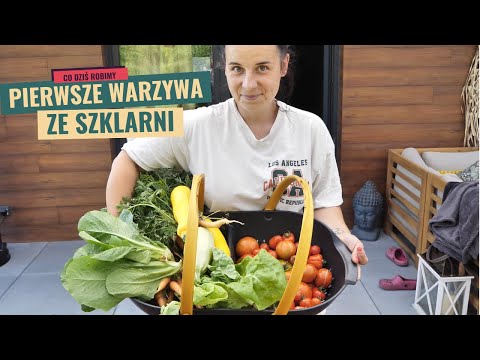 What does the garden look like after a week's vacation without watering?