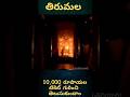 10000 Rs Darshan In Tirumala Tirumala Tirupati Tirupatibalaji Ttd Viral Trending Shorts