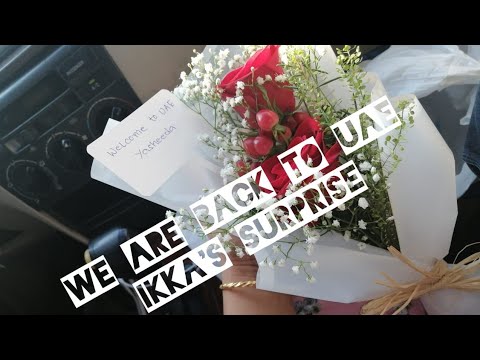 We are back to UAE /Ikka's surprise #ashortvideo@rayyasworld7921