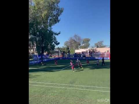 Ciro9(arrecifes bs as)