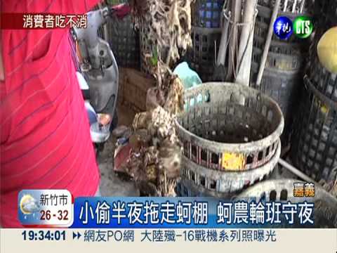 蚵棚整個拖走... 蚵仔1斤130創新高