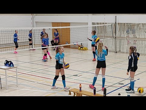 Ajo D - Juju Gold D Liperi