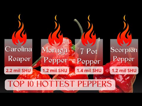 Super Hot pepper review. What are the Top 10 Hottest Peppers 2021 - 2022 #superhotpeppers #scoville